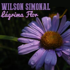 Lágrima Flor (Single) album cover
