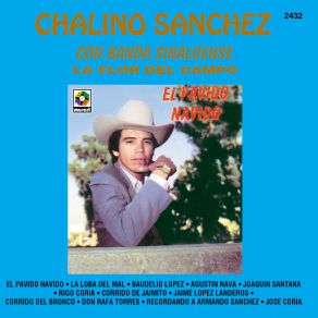 La Flor De Campo album cover