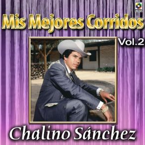 Mis Mejores Corridos Vol. 2 album cover