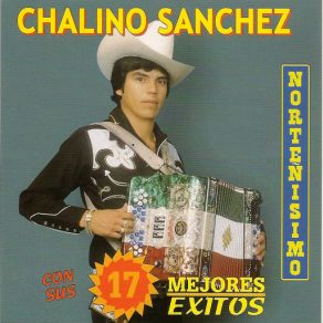 17 Exitos album cover