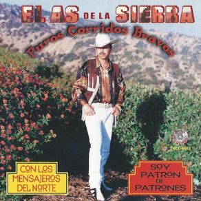 Puros Corridos Bravos album cover
