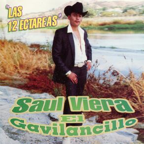 El Gavilancillo album cover