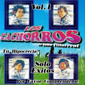 Solo Exitos album cover