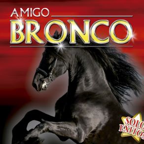 Amigo Bronco album cover