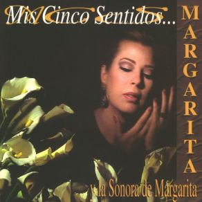 Mis Cinco Sentidos album cover