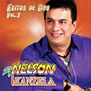 Exitos De Oro, Vol. 2 album cover
