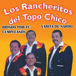 Éxitos album cover