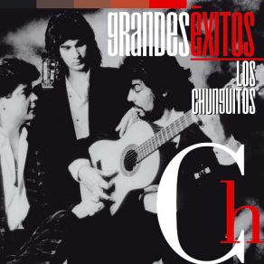 Grandes Éxitos: Los Chunguitos album cover
