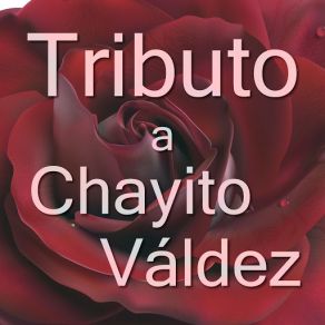 Tributo Chayito Valdez album cover