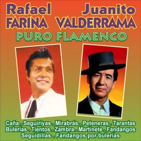 Puro Flamenco album cover