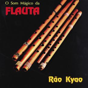 O Som Mágico Da Flauta album cover