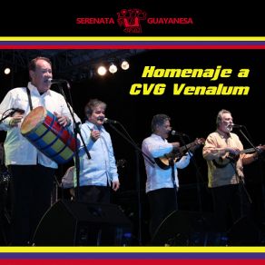 Un Homenaje CVG Venalum album cover