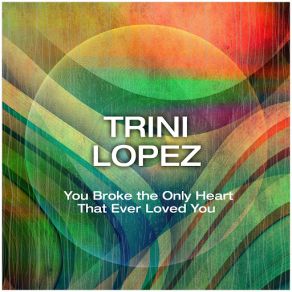 You Broke The Only Heart That Ever Loved You album cover