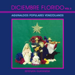 Diciembre Florido, Vol. 2 album cover