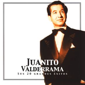 Sus 20 Grandes Exitos album cover