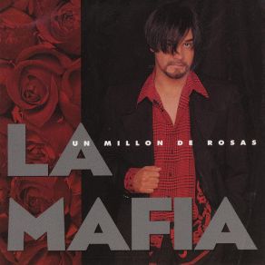 Un Millon De Rosas album cover