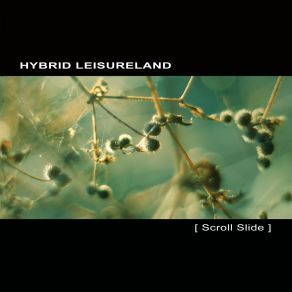 Scroll Slide album cover