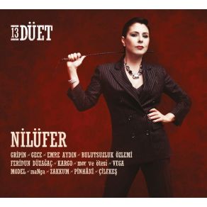 13 Düet album cover