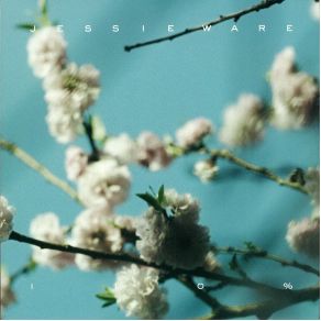 110% (Vinyl, 7 " CD Single) album cover
