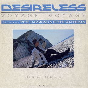 Voyage Voyage (Britmix) album cover