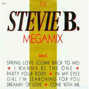 The Stevie B. Megamix album cover
