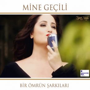 Bir Ömrün Şarkıları album cover