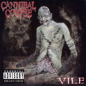 Vile album cover