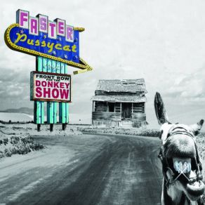 Front Row For The Donkey Show album cover