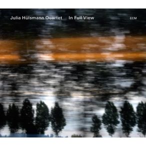In Full View album cover