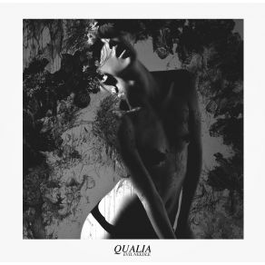 Qualia album cover