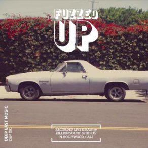 Fuzzed Up album cover