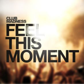 Feel This Moment album cover