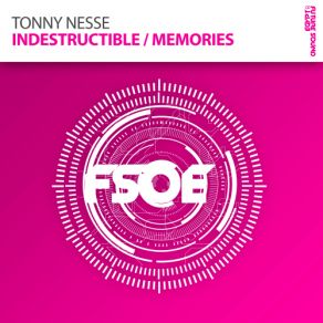 Indestructible / Memories (Singles) album cover