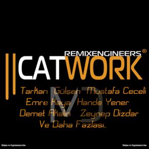 Catwork Remix Engineers - Best Of (Cd2) album cover