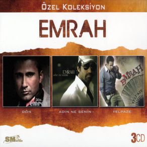 Özel Koleksiyon / Dön album cover
