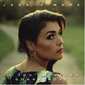 If You'Re Never Gonna Move album cover