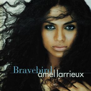 Bravebird album cover