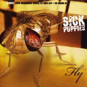 Fly album cover