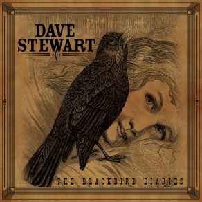 The Blackbird Diaries album cover