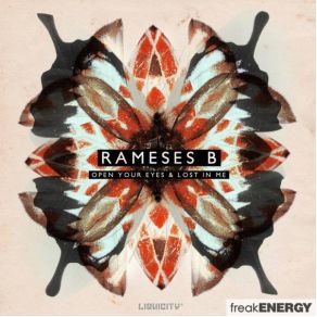 Bring Me To Life (Original Mix) (Single) album cover