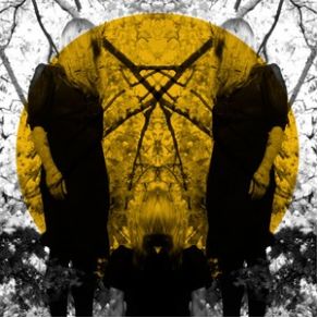 Trip (Single) album cover