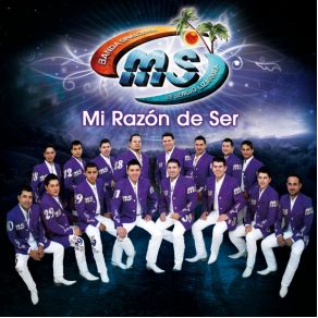 Mi Razon De Ser (Single) album cover