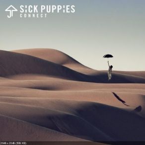 Connect (Best Buy Deluxe Edition) album cover