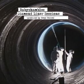 Diamond Liner Sessions (Peter Perrett) album cover