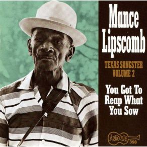Texas Songster Volume 2: You Got To Reap What You Sow album cover