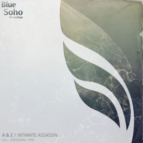 Intimate Assassin (Single) album cover