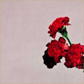 Love In The Future (Bonus Tracks) album cover