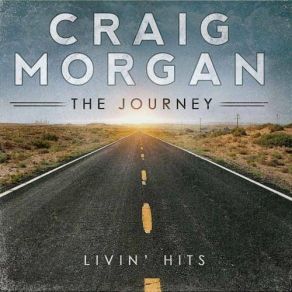 The Journey: Livin' Hits album cover