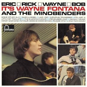 Wayne Fontana & The Mindbenders album cover