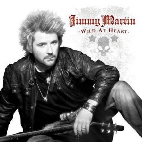 Wild At Heart album cover